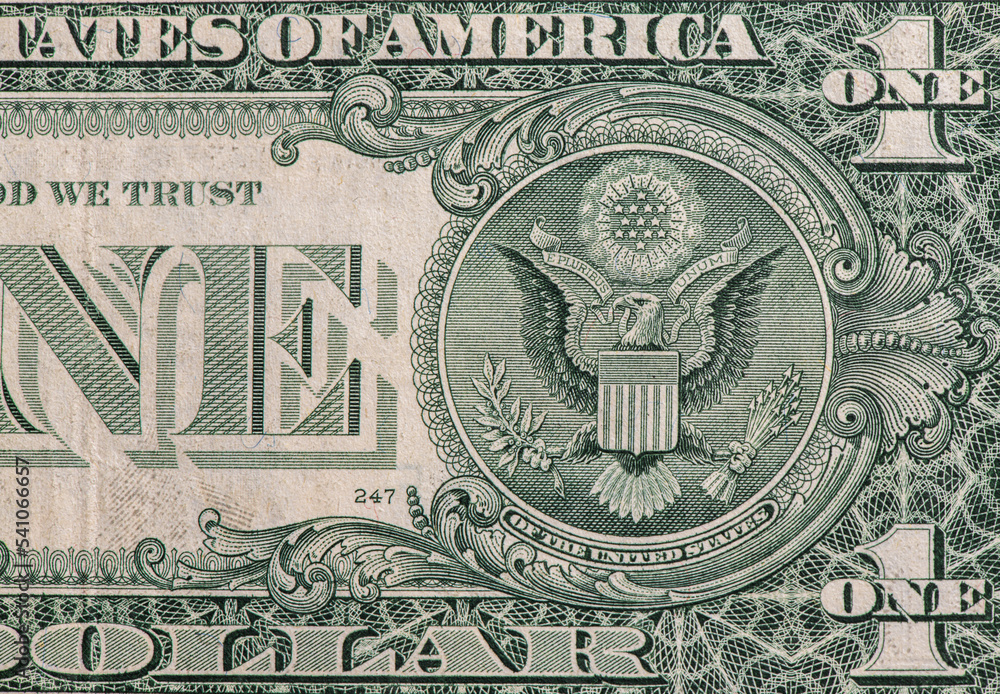 Fototapeta premium One dollar USA banknotes close up background, money and finances