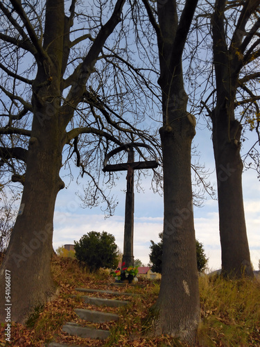 przydrożny krzyż na wsi w drzewach © Krzysztof
