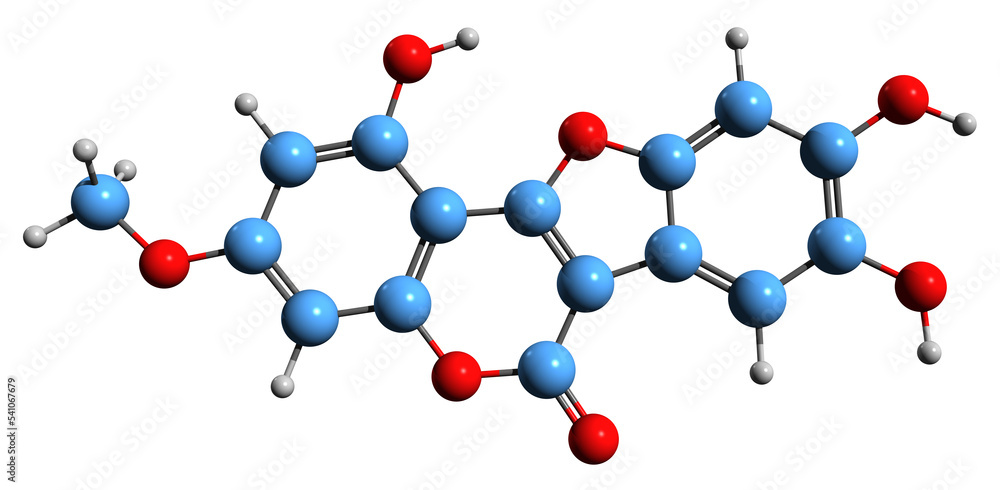3D image of Wedelolactone skeletal formula - molecular chemical structure of Eclipta alba coumestan isolated on white background 3D image of Wedelolactone skeletal formula - molecular chemical structure of Eclipta alba coumestan isolated on white background