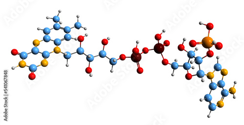  3D image of Adenosine monophosphate skeletal formula - molecular chemical structure of nucleotide AMP isolated on white background photo