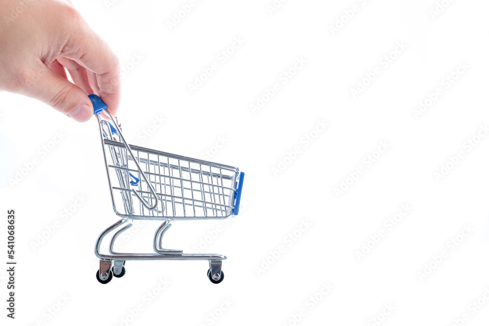 Shopping cart in hand on a white background. Shopping cart in hand on a white background.
