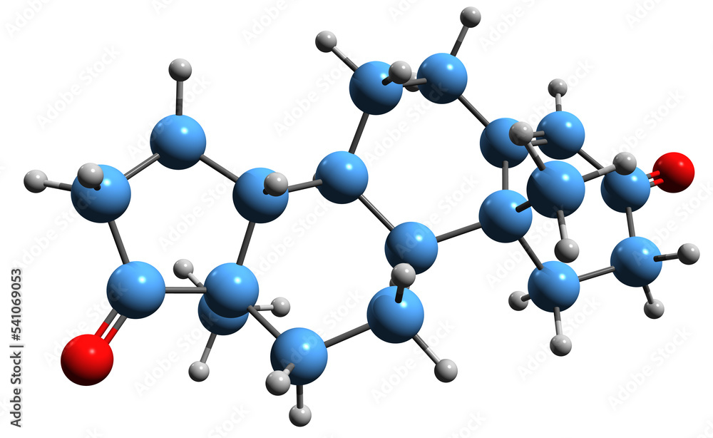  3D image of Androstenedione skeletal formula - molecular chemical structure of 17-Ketotestosterone isolated on white background
