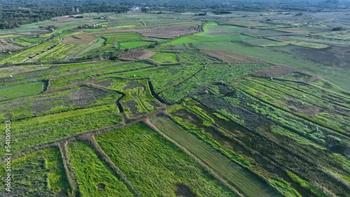 Landscape in the Bioria Estarreja nature reserve. Ria de Aveiro on the Atlantic coast of Portugal. Aerial view from a drone. Estarreja. Portugal. Europe photo