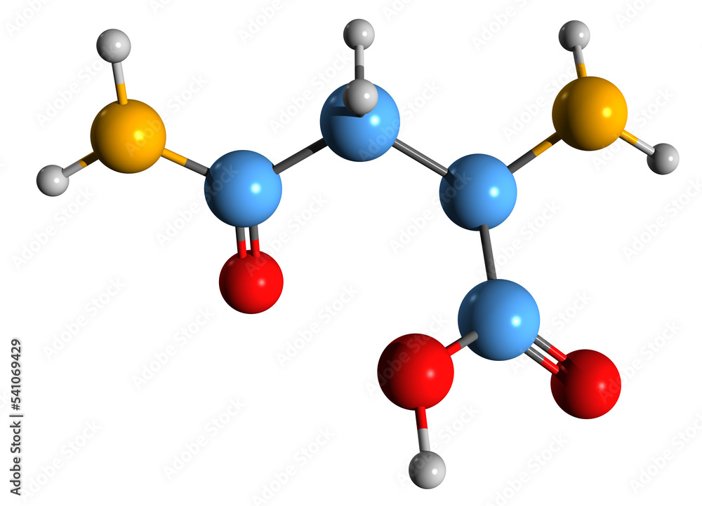 3D image of Asparagine skeletal formula - molecular chemical structure of 2-Amino-3-carbamoylpropanoic acid isolated on white background
3D image of Asparagine skeletal formula - molecular chemical structure of 2-Amino-3-carbamoylpropanoic acid isolated on white background