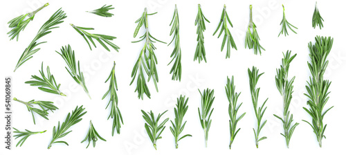 Fresh green rosemary isolated on a white background with copy space for your text. Top view. Flat lay