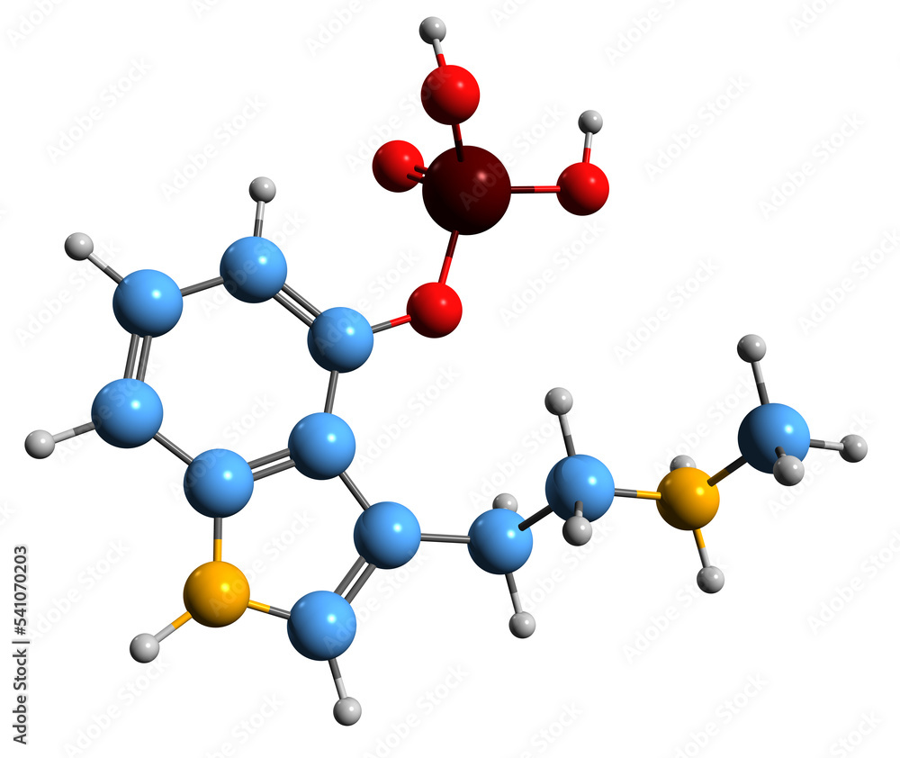 3D image of Baeocystin skeletal formula molecular chemical structure