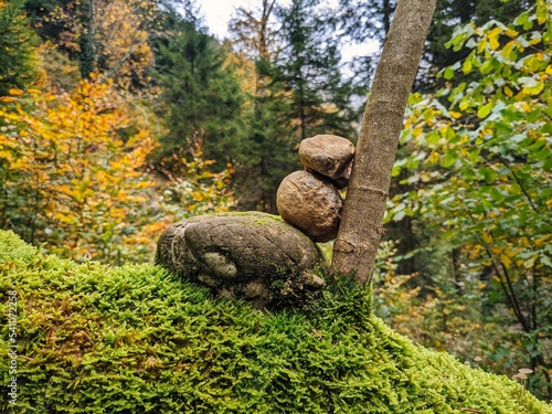 Autumn forest in the Zurich Oberland. Art in beautiful nature. stone tower on a tree. High quality photo