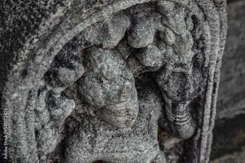 Closeup shot of the cobra-headed goddess Naga-Raja statue in Isurumuniya, Anuradhapura, Sri Lanka photo