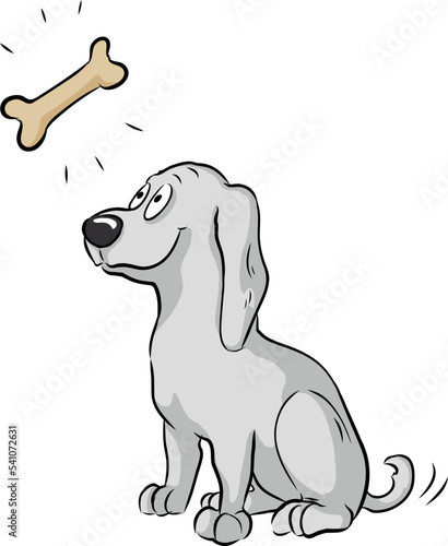 Niedlicher  kleiner Hund sitzt brav vor einem Knochen als Belohnung