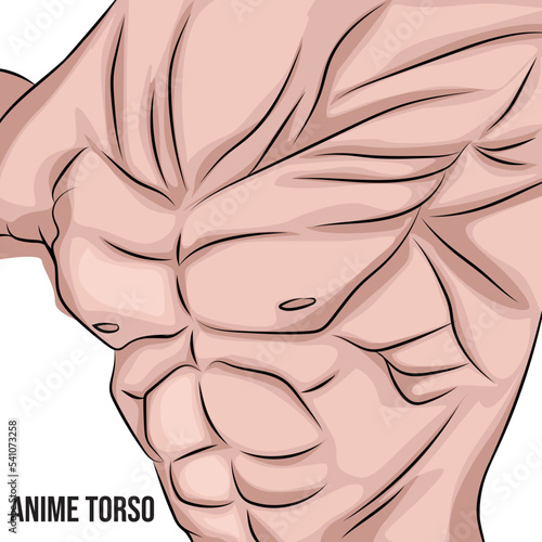 Muscular body anime torso, biceps, triceps.