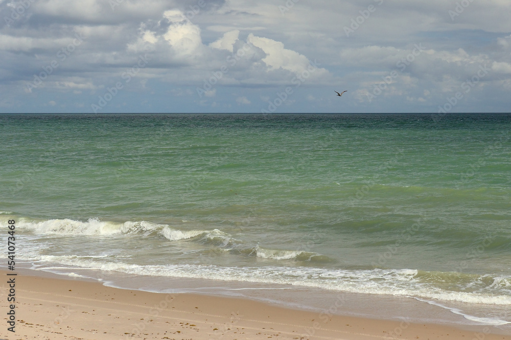 Pelican flying over water of Atlantic Ocean at Vero Beach Florida as seen from boardwalk