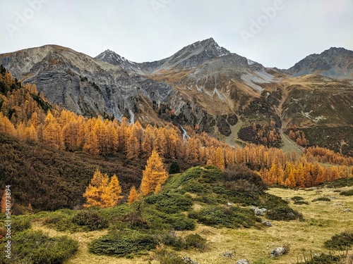 larks forest in sertig thal in davos switzerland. Hiking in the canton of Grisons. Beautiful autumn mountain landscape. High quality photo photo