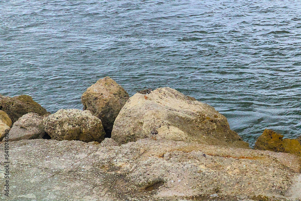 Fort Pierce Florida rocky shoreline overlooking harbor at Ft. Pierce Inlet from Atlantic Ocean Fort Pierce Florida rocky shoreline overlooking harbor at Ft. Pierce Inlet from Atlantic Ocean