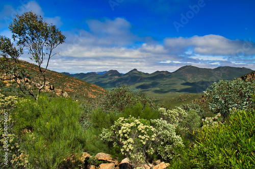 Landscape along the St Mary Peak Hike, Wilpena Pound, Flinders Ranges, South Australia photo