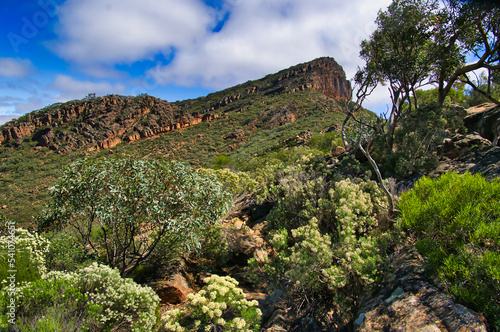 Slika na platnu St Mary's Peak, the highest mountain of the Flinders Ranges in South Australia,