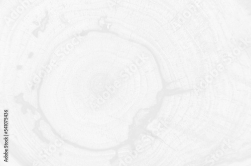 lightened apple texture background, apple tree texture, excellent wallpaper background, apple board, black and white background