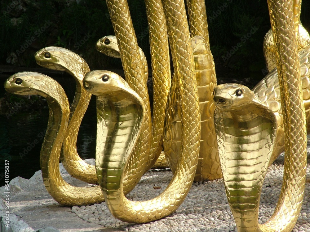Fototapeta premium Closeup shot of statues of golden King Cobra snakes