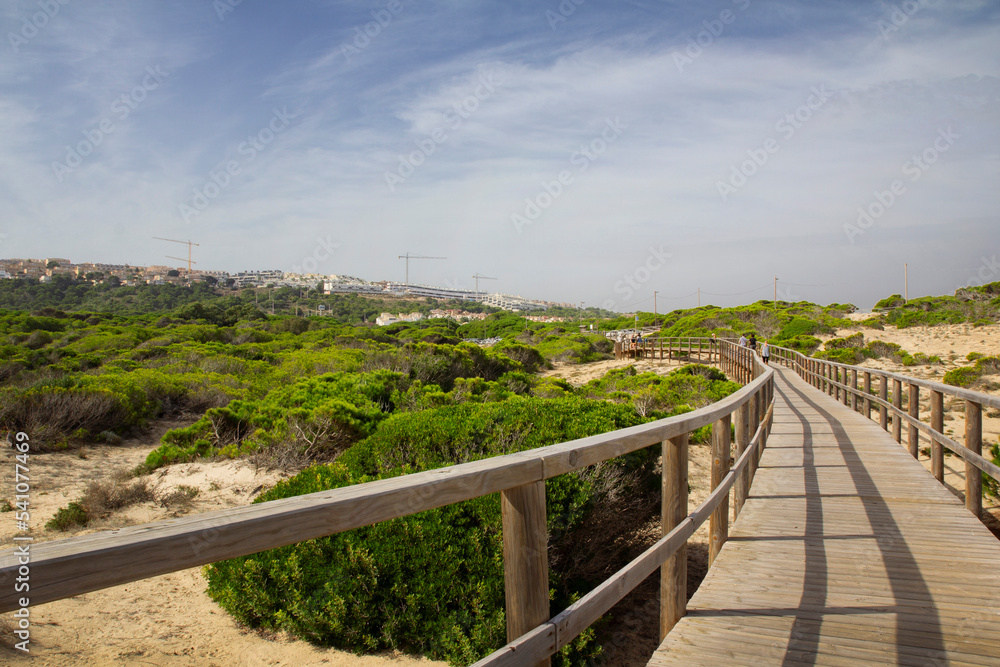 Wooden bridge among the greenery, stretching into the distance. Close-up. Arenales del sol Wooden bridge among the greenery, stretching into the distance. Close-up. Arenales del sol
