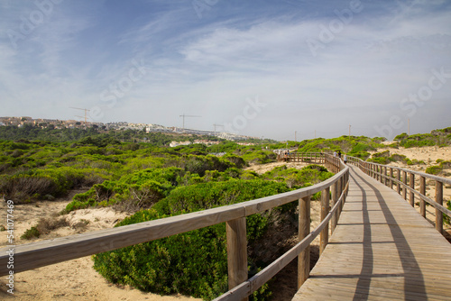 Wooden bridge among the greenery, stretching into the distance. Close-up. Arenales del sol