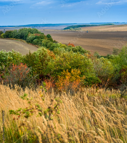 panoramic view through the dry grass of the road among arable autumn fields, ...