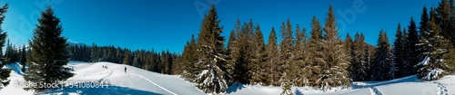 beautiful winter panorama in the mountains on a sunny day © mikhailgrytsiv