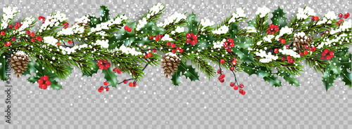 Transparent banner with snow and branches