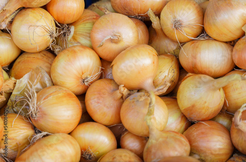 Background image of onion, part of the image is out of focus.