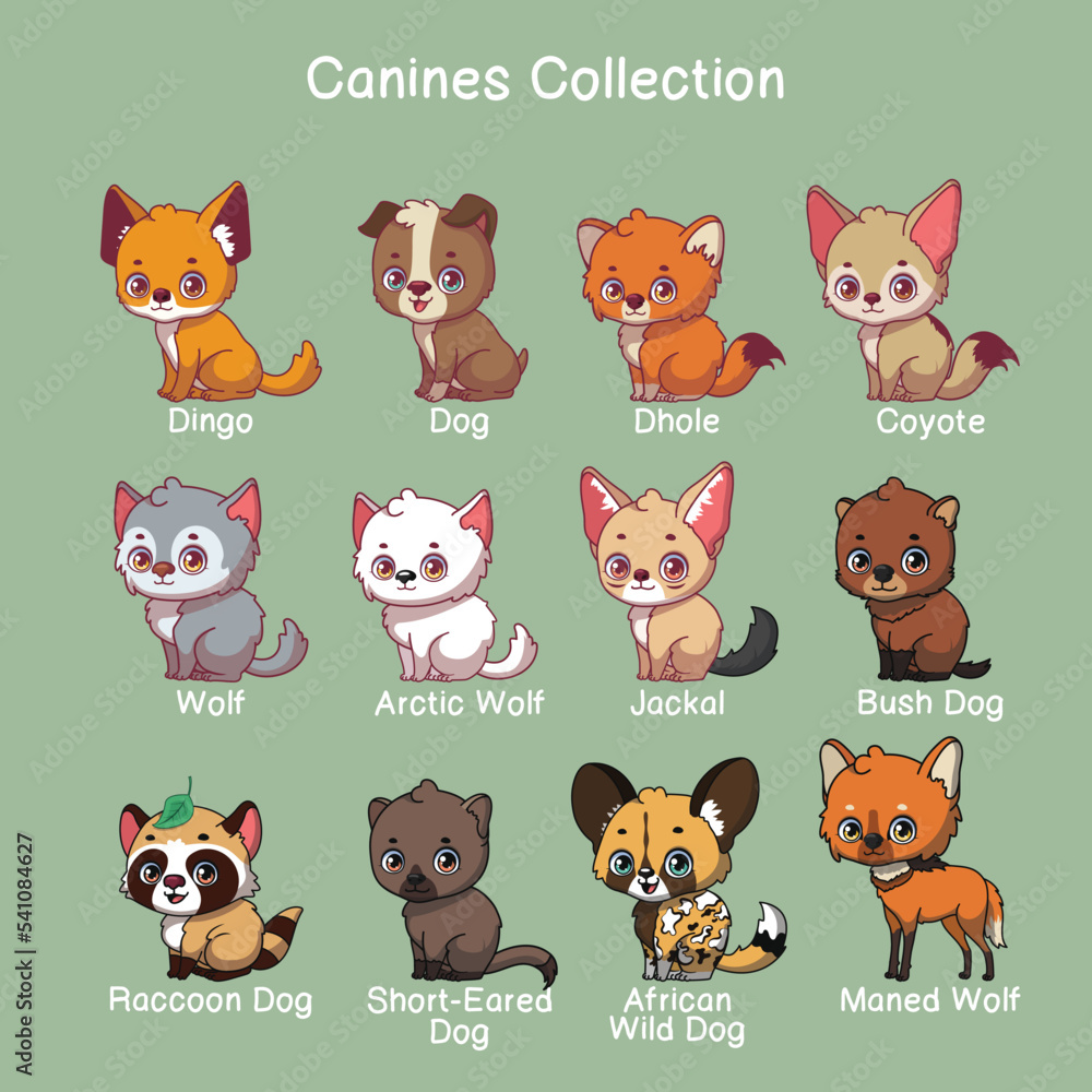 Canine illustrations with name text Canine illustrations with name text