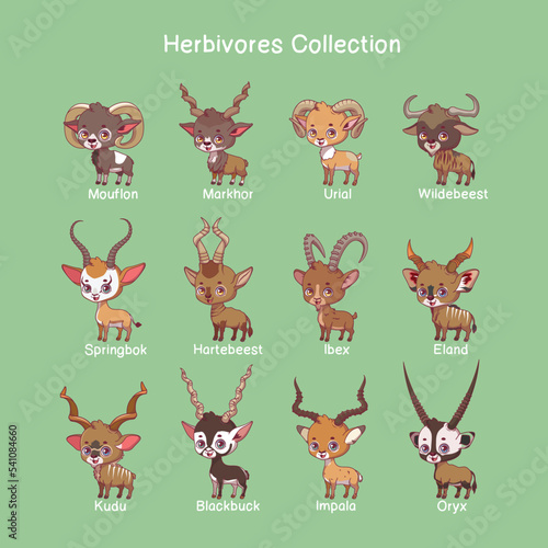 Big collection of herbivore animals with name text