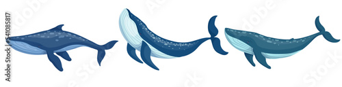 Papier peint Set of blue whale aquatic mammals. Cartoon vector graphics.
