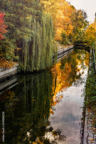 Morning in Bruges. Old houses on the banks of the canal