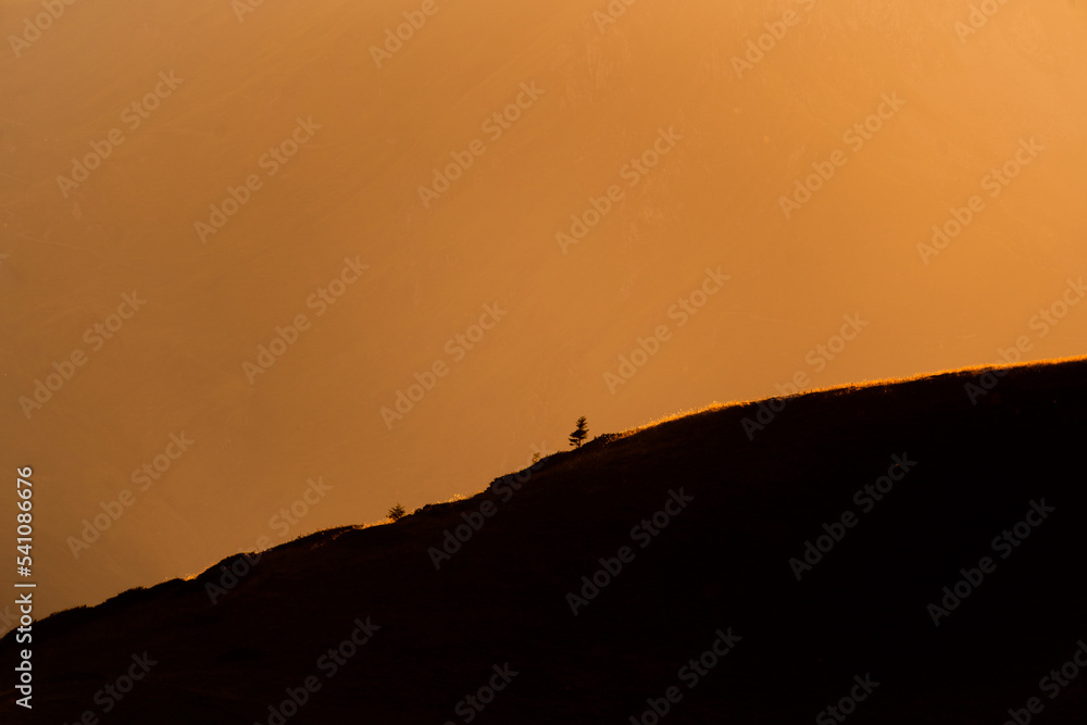 Lonely small tree on top of a mountain with an idyllic orange light in the background during the golden hour at sunset or sunrise. Beautiful and calm landscape with space for text. Natural beauty.