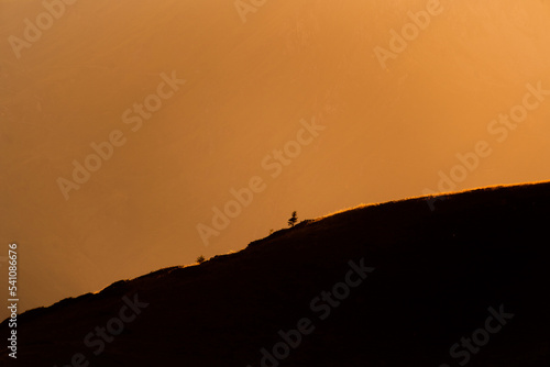 Lonely small tree on top of a mountain with an idyllic orange light in the background during the golden hour at sunset or sunrise. Beautiful and calm landscape with space for text. Natural beauty.