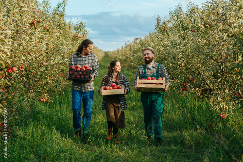 Canvastavla Smiling family of horticulturists walking on their own property with boxes of crops in their hands tracking shot