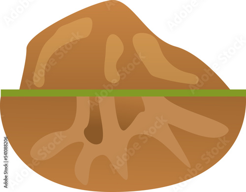 anthill