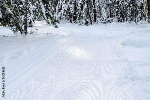 Groomed Cross-Country Ski Tracks in the Mountains