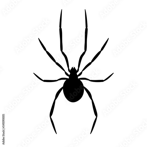 Vector flat hand drawn spider silhouette isolated on white background