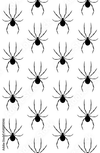 Vector seamless pattern of flat hand drawn spider silhouette isolated on white background © Sweta