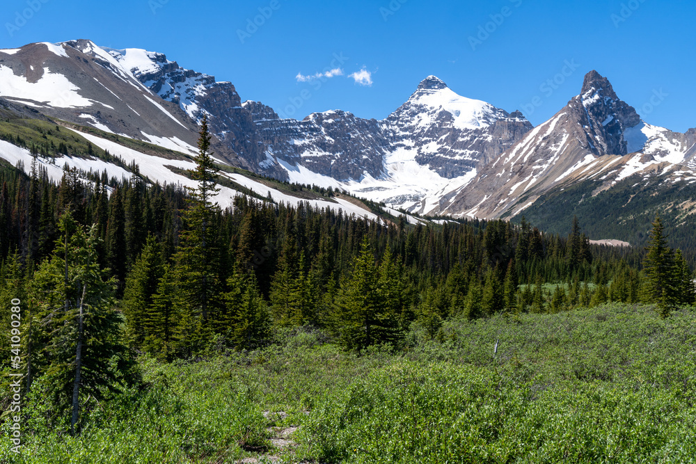 View of the Canadian Rockies from the Parker Ridge trailhead area of Jasper National Park