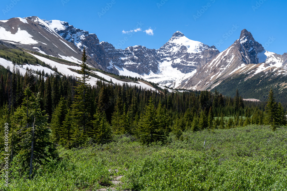 Fototapeta premium View of the Canadian Rockies from the Parker Ridge trailhead area of Jasper National Park