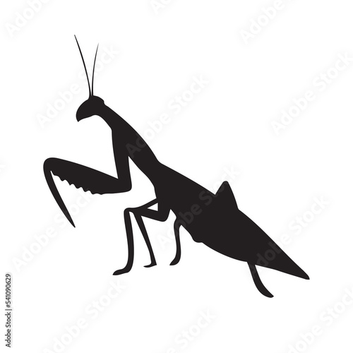 Vector hand drawn mantis silhouette isolated on white background