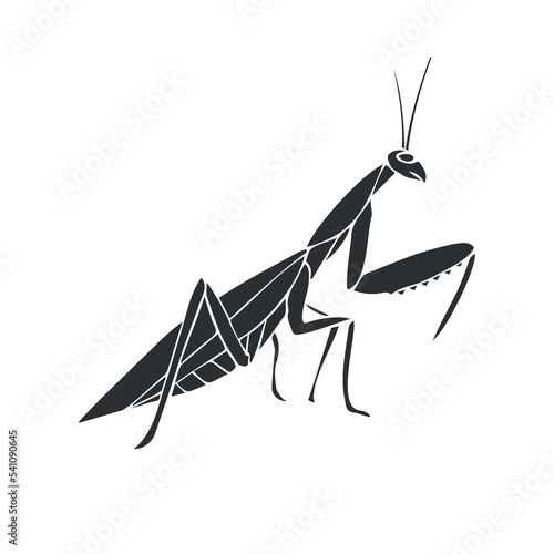 Vector hand drawn doodle sketch black mantis isolated on white background