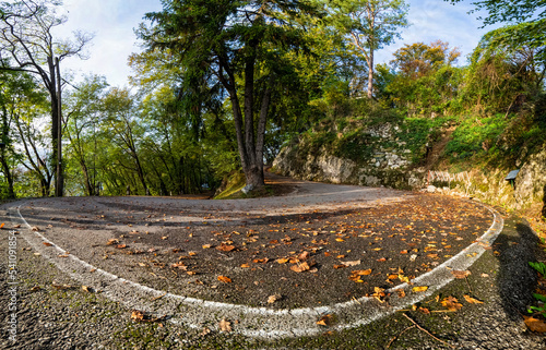 Alpine road in autumn with leaves on the ground