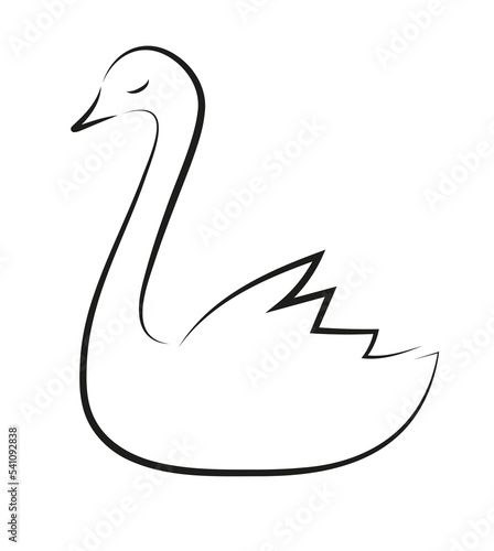 Łabędź rysunek