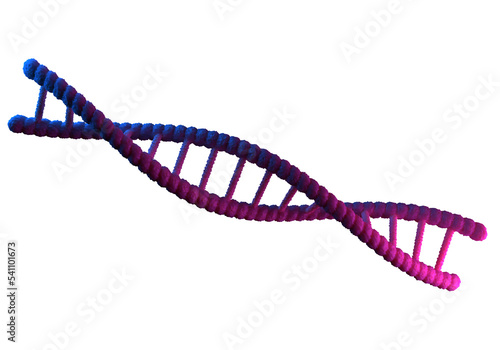 DNA structure. Strand of human genome. Genetic chain isolated on white. Purple DNA strand. Erase symbolizes science of genetics. DNA analysis. Human RNA system model. 3d rendering.