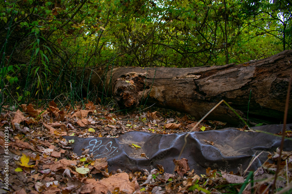 Old metal that looks like a rock with graffiti next to a fallen tree in the autumn woods Old metal that looks like a rock with graffiti next to a fallen tree in the autumn woods