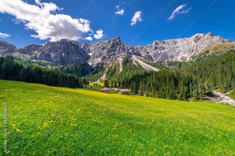Fototapeta premium Idyllic Alpine landscape near St Magdalena, Val di Funes, Dolomites alps, Italy