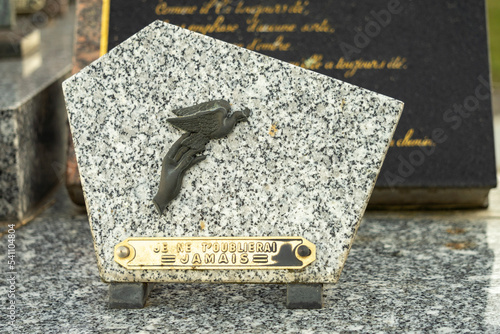 Fényképezés Funerary plaque, adorned with a hand letting a dove fly away, with the inscripti