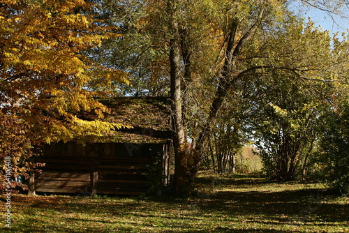 Waldhütte im Herbst