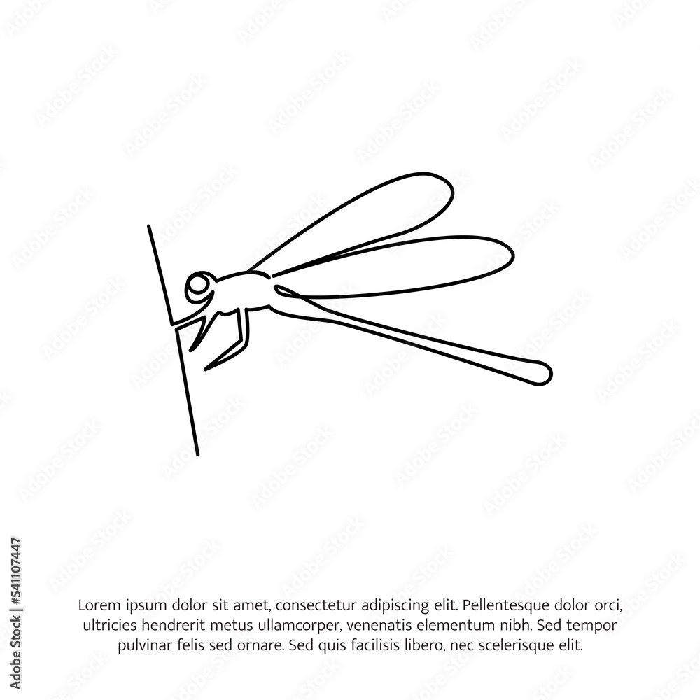 Dragonfly one continuous line drawing. Cute decoration hand drawn elements. Vector illustration of minimalist style on a white background. Dragonfly one continuous line drawing. Cute decoration hand drawn elements. Vector illustration of minimalist style on a white background.